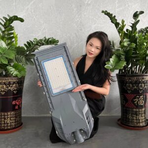 CCS500W